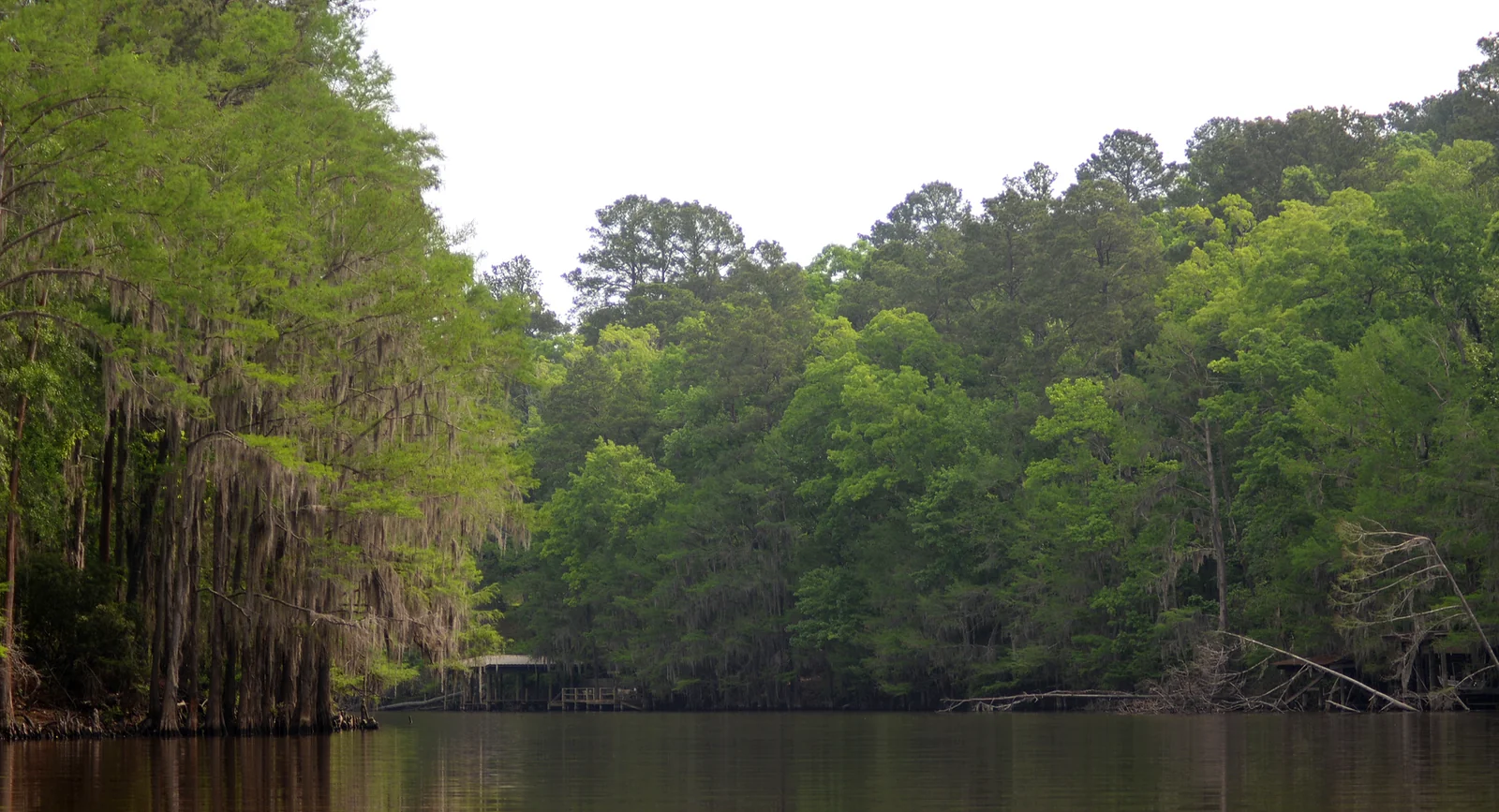 Big Cypress Bayou at Caddo Lake State Park near Karnack, a regional outing from Jefferson, Texas