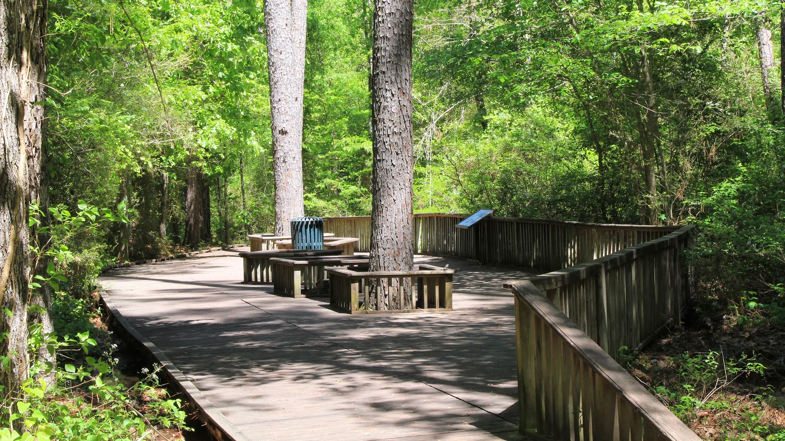 Pineywoods Boardwalk Trail at Lake Livingston State Park