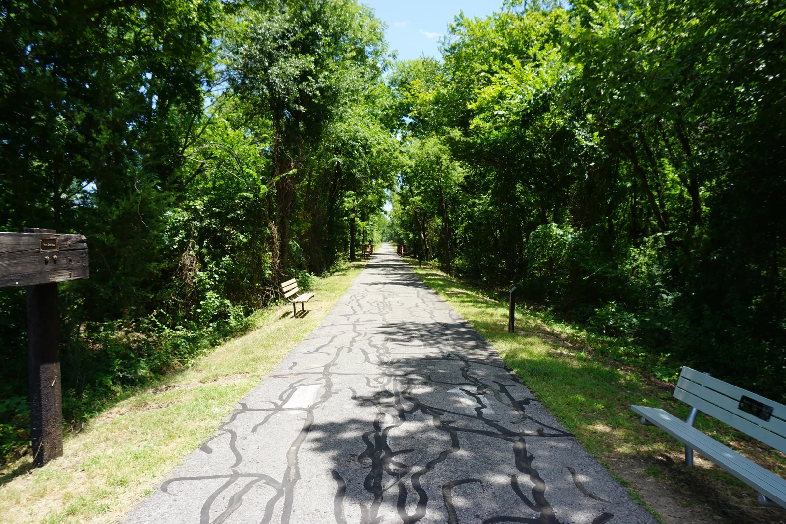 Wooded stretch of the Trail de Paris recreational trail in Paris, Texas