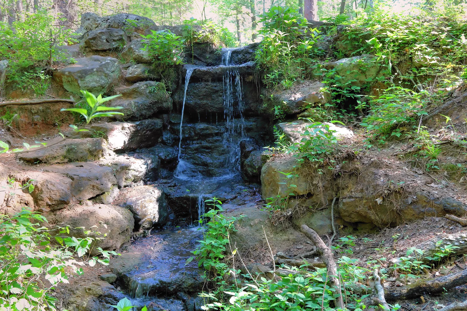 Wooded waterfall at Tyler State Park near Tyler in Smith County, Texas